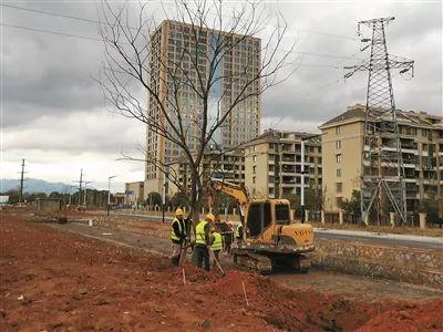 快速教你“衢州都莱辅助挂”原来有挂 难怪会一直输